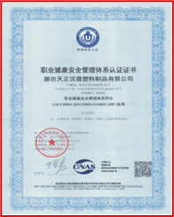 ISO45001 Certificate 1